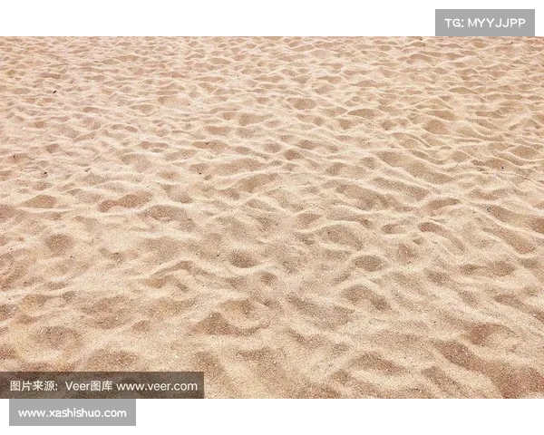 沙场倒影:揭秘沙层攻略奥秘 沙场倒影:揭秘沙层攻略奥秘